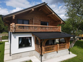 Cabana 9 Borşa